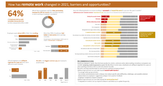 Remote Working Survey - How has remote work changed in 2021, barriers and opportunities?